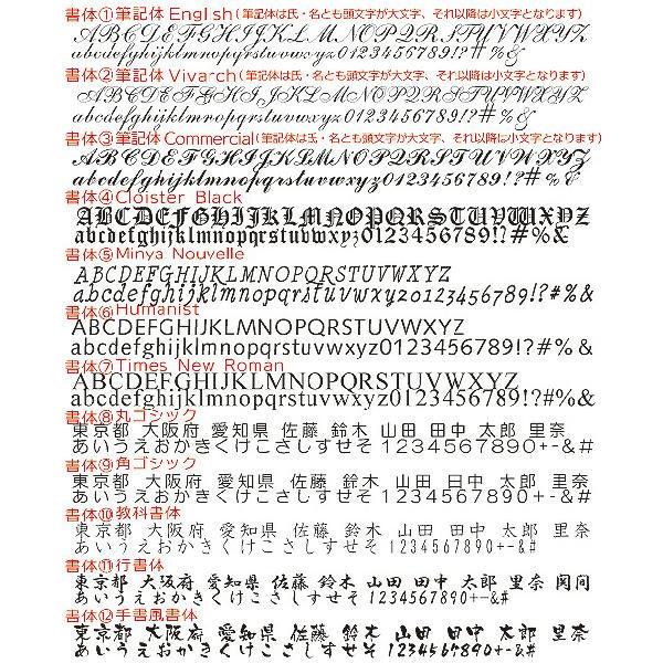 名入れ 多機能ペン ステッドラー アバンギャルド ライト (ボールペン0.7mm黒・赤とシャープペン機能) シャーペン 名前入り 高級 誕生日 父の日 プレゼント 入学 | ステッドラー | 04