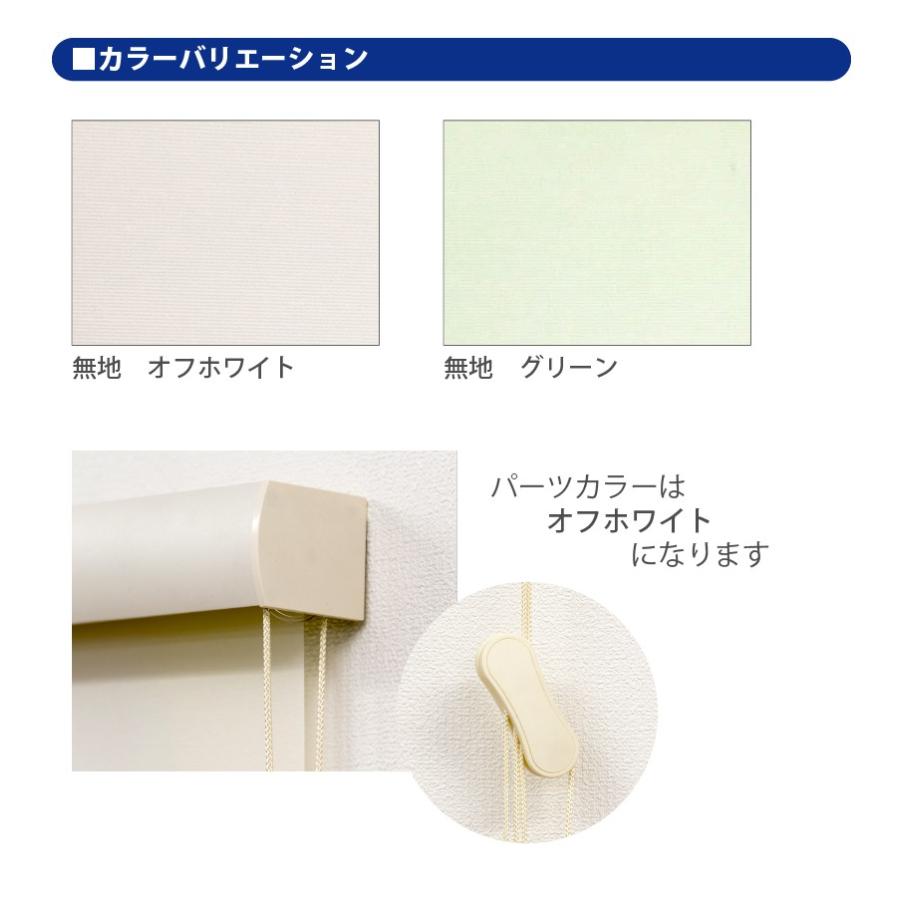 ロールスクリーン カバー付き フルネス エクシヴ プレーン(無地)タイプ 規格品 幅80cm 高さ220cm