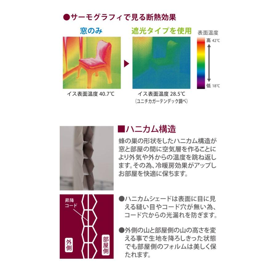【最大★10%オフクーポン】 ハニカムブラインド ツイン 幅60〜210cm×高さ20〜240cm 無地 彩 調光 プリーツスクリーン オーダー フルネス | フルネス | 02