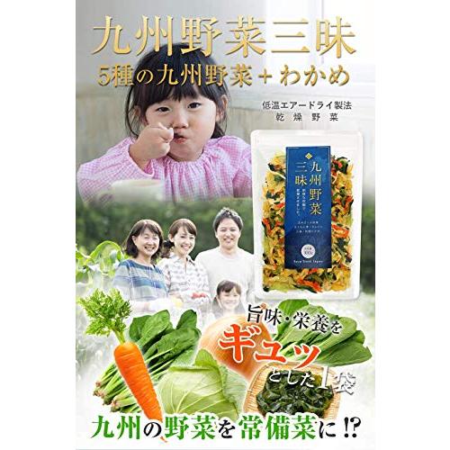 超格安価格九州野菜三昧 乾燥野菜 国産 野菜 わかめ ミックス 100g (1