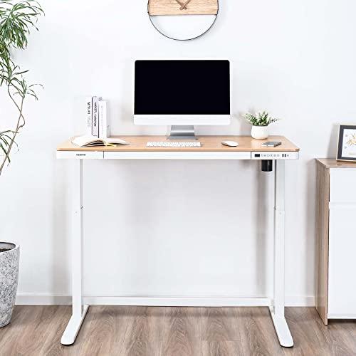 購入日本 FLEXISPOT 電動式昇降デスク EG8（幅120×奥行60，木製天板