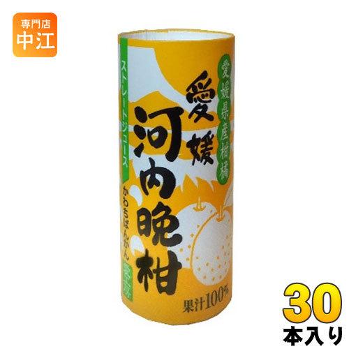 愛工房 河内晩柑 125ml カート缶 30本入 : 専門店中江 - 通販 - Yahoo