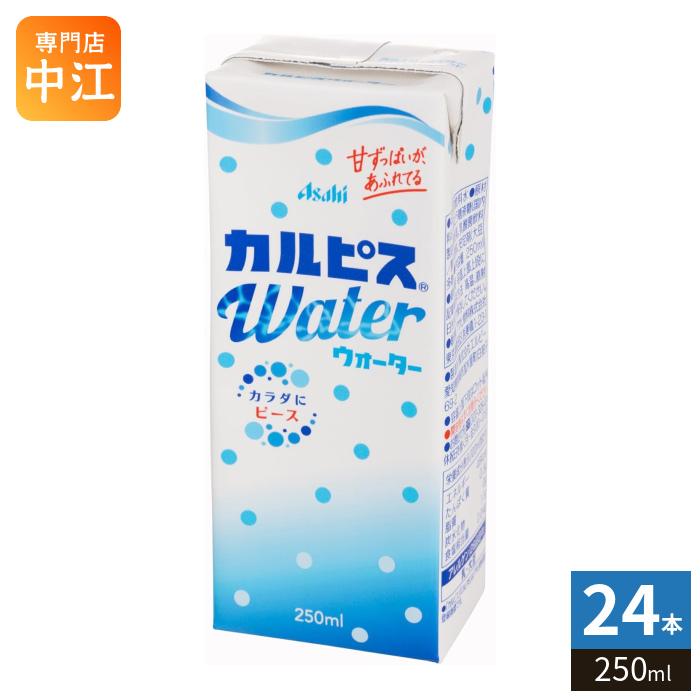 エルビー カルピスウォーター 250ml 紙パック 24本入 乳飲料 カラダに