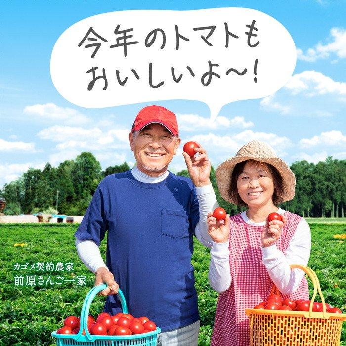 カゴメ トマトジュース プレミアム 2022 食塩無添加 160g 缶 60本 (30本入×2 まとめ買い) 〔野菜ジュース〕 :4901306018651-2c:専門店中江 - 通販 - Yahoo!ショッピング カゴメ トマトジュース プレミアム 2022 食塩無添加 160g 缶 60本 (30本入×2 まとめ買い) 〔野菜ジュース〕 :4901306018651-2c:専門店中江 - 通販 - Yahoo!ショッピング
