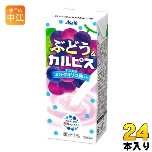 エルビー ぶどう&カルピス 250ml 紙パック 24本入 : 専門店中江 - 通販
