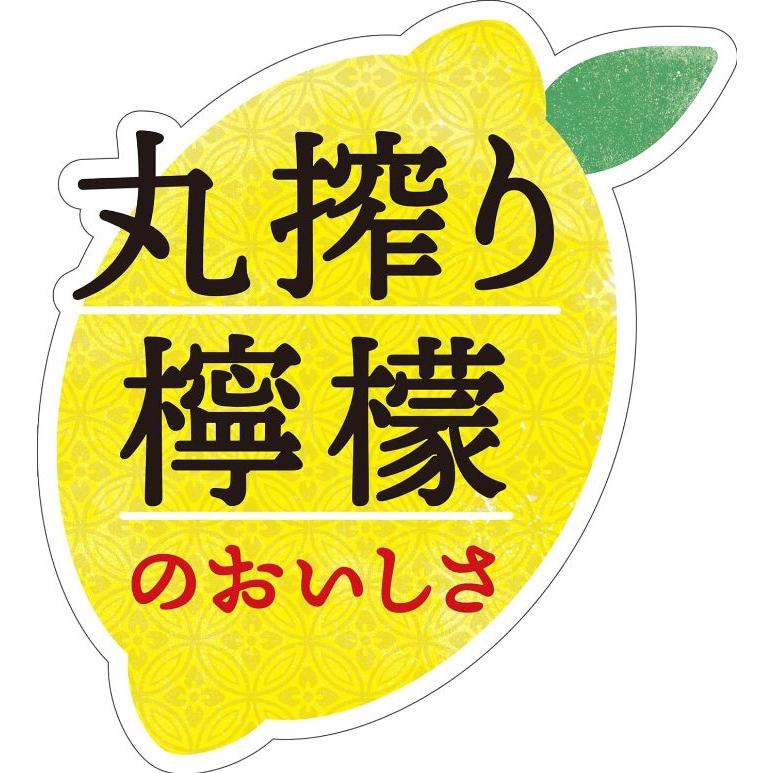 サントリー 伊右衛門 京都レモネード 525ml ペットボトル 48本 (24本入×2 まとめ買い) 果汁飲料 檸檬 福寿園｜nakae-web｜04