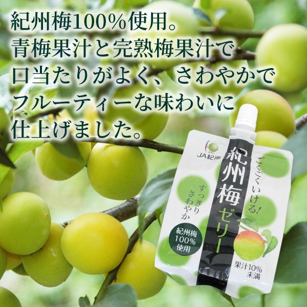 JA紀南 ごくごくいける! 紀州梅ゼリー 180g パウチ 24個入 ゼリー飲料｜nakae-web｜03