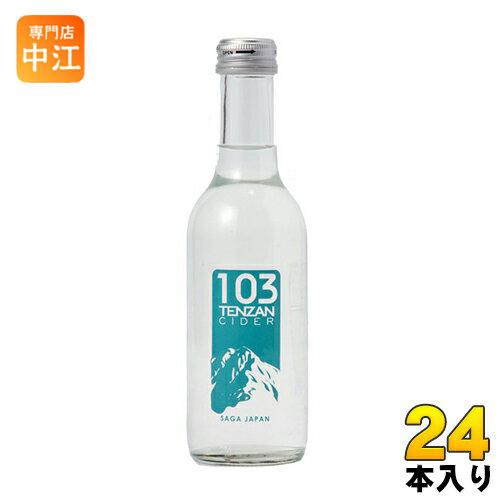友桝飲料 103 テンザン サイダー 250ml 瓶 24本入 : 専門店中江 - 通販