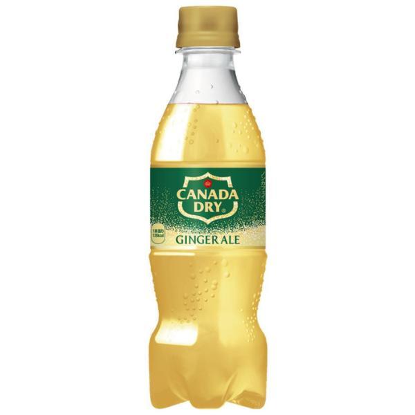 カナダドライ コカ・コーラ ジンジャーエール 350ml ペットボトル 24本