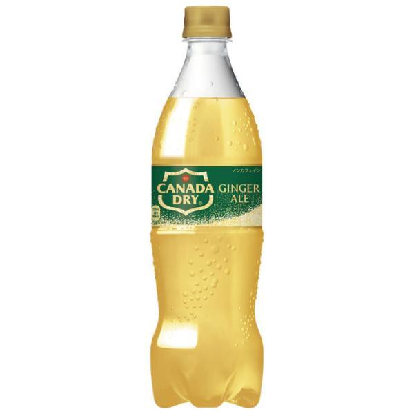 カナダドライ コカ・コーラ ジンジャーエール 700ml ペットボトル 20本