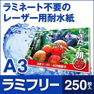 耐水紙 ラミフリー A3 250枚の画像