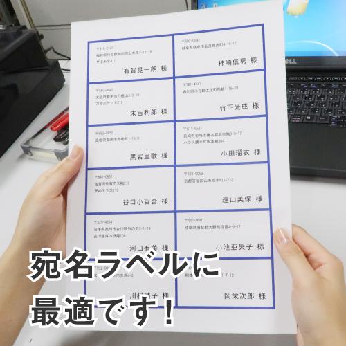 ラベルシール 楽貼ラベル 12面 四辺余白付 A4 500枚