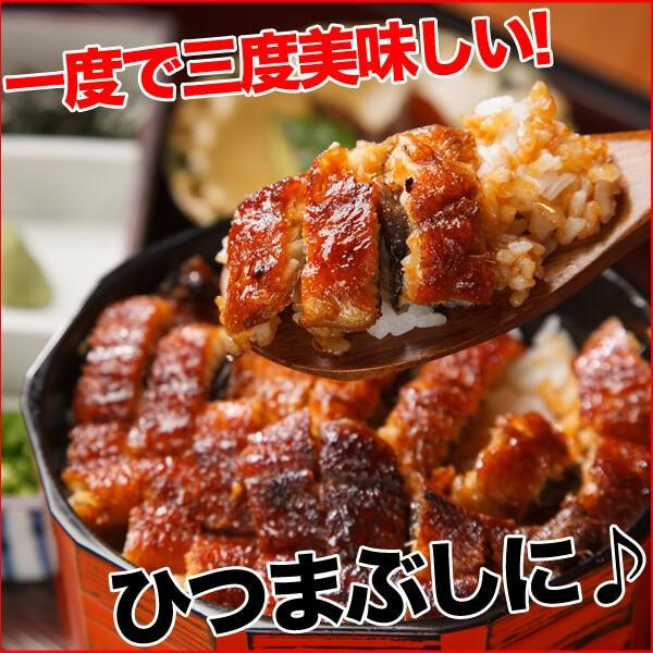 うなぎ 蒲焼き 国産 4〜5尾/合計800g 送料無料 有頭 真空包装 鰻