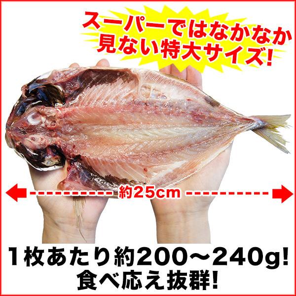 あじ 特大サイズ 開き 5枚 真あじ 送料無料 アジ開き干 静岡県沼津加工 干物 aji-5｜nakagawa-k-ichiba｜03