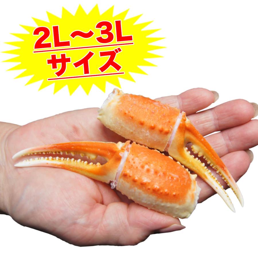 かに カニ ズワイガニ かに爪 総重量1kg 2L〜3Lサイズ 約26〜35個入り 送料無料 リングカット プレゼント ギフト 贈答 ring-s 母の日 父の日 ギフト｜nakagawa-k-ichiba｜04