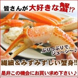 かに カニ ズワイガニ ボイル 蟹脚 5kg 訳あり ギフト グルメ 3〜4Lサイズ 14〜16肩入り zuwai5 贈答 ギフト プレゼント |  | 06