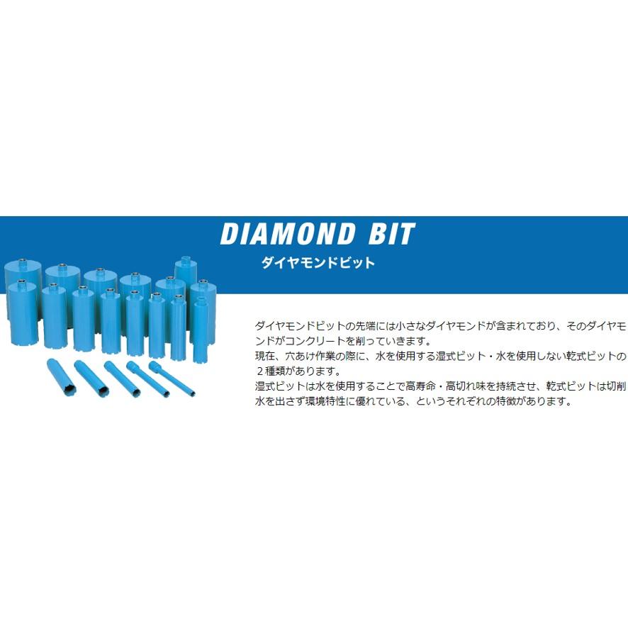 ライトビット 140ｍｍ 湿式1本物ビット 005626 【レジューサー】 (送料区分：C)