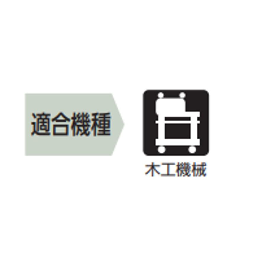 大日商 AJ-255EC 自在溝切りカッター 大見工業 AJ255EC AJカッター 木工機械用 超硬チップ 中速回転用 切削幅3 〜 27mm 両側研磨 255EC (送料区分：A)_2