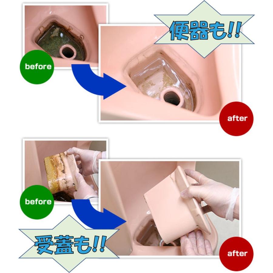 尿石洗剤 デオライトSP 1Kg 劇物 超強力トイレ洗剤 尿石除去剤 医薬用外劇物譲受書が必要です (送料区分：「A」)｜nakagawa-pro-kogu｜09