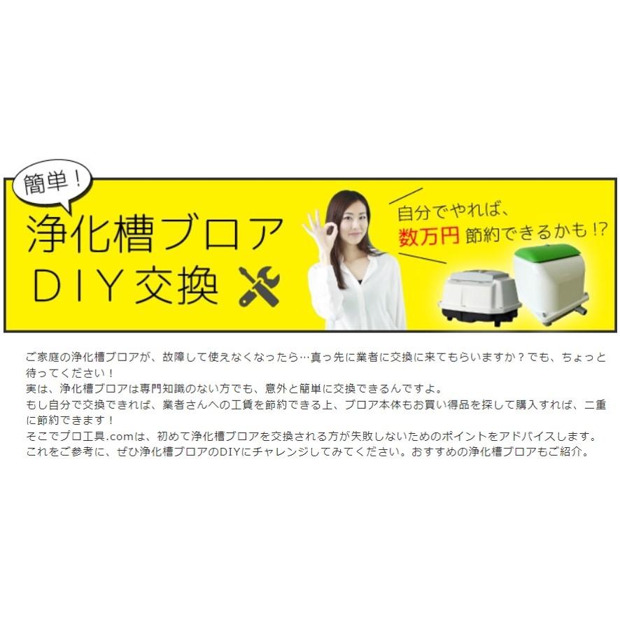 【150台限定特価セール！】安永エアポンプ EP-80GR 右散気 80L 省エネ 静音 コンパクト ブロワ エアーポンプ タイマー内蔵 EP-80GR-ltd (送料区分：「A」)の画像