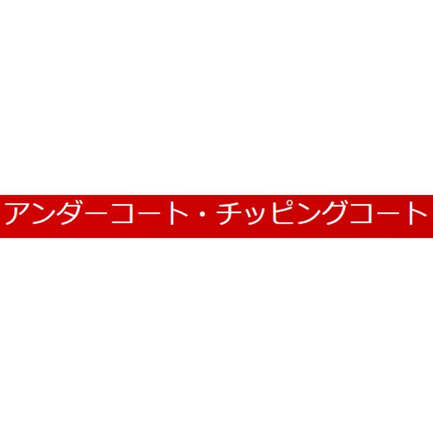 イチネンケミカルズ NX84 チッピングホワイト 000084 エアゾール 420ml (送料区分：A)｜nakagawa-pro-kogu｜09