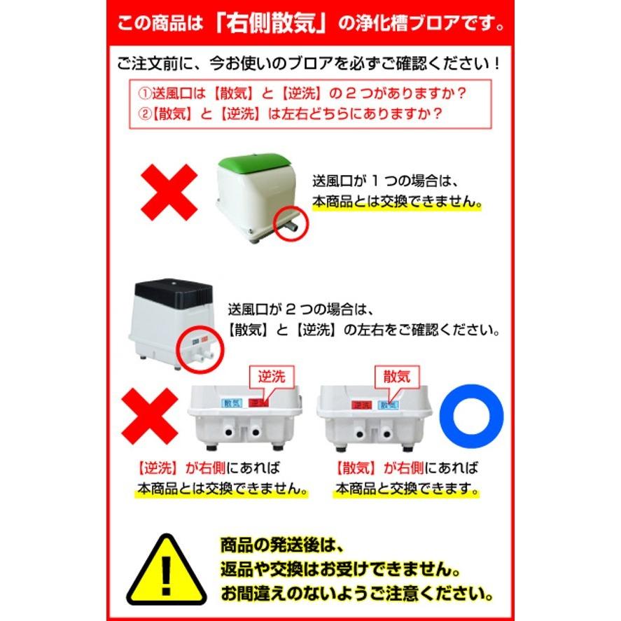 浄化槽ブロア EP-80ER エアポンプ ブロワ 安永 右散気 ばっ気 浄化槽用 単相AC100V 逆洗タイマー付タイプ 省エネ型