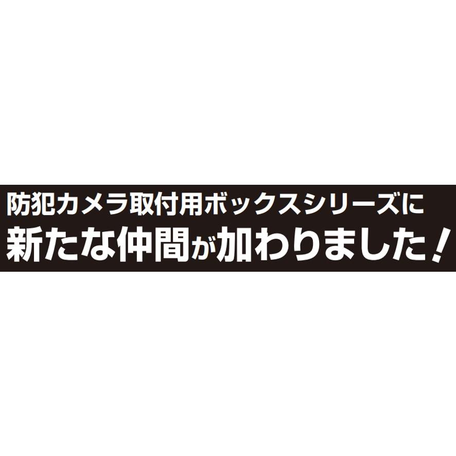 未来工業 防犯カメラ取付四角ボックス ベージュ PV4B-2010FJ 未来工業 防犯カメラ取付四角ボックス ベージュ PV4B-2010FJ