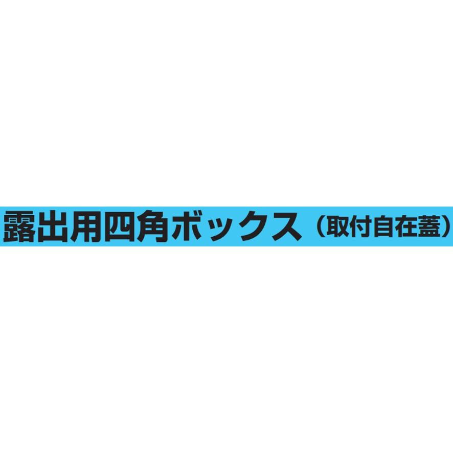 未来工業 PV4B-BLNF1 グレー 露出用四角ボックス 取付自在蓋 未来工業 PV4B-BLNF1 グレー 露出用四角ボックス 取付自在蓋