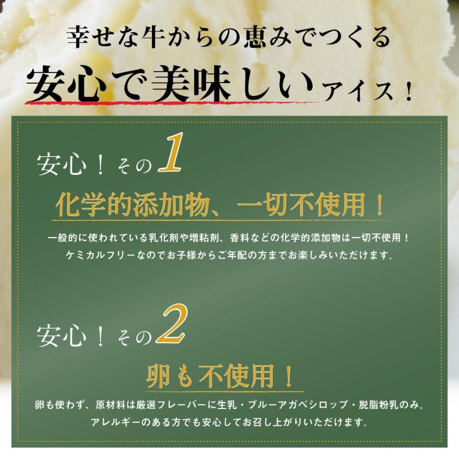 母の日 遅れてごめんね  ギフト アイスクリーム 詰め合わせ 6個入 送料無料 熨斗 放牧場 お菓子 スイーツ 卵不使用 無添加 ［冷凍便］ nov｜nakahora-bokujou｜03