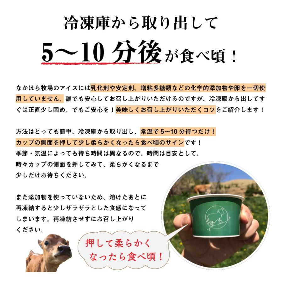 父の日 お中元  ギフト アイスクリーム 詰め合わせ 12個入 送料無料 熨斗 放牧場 お菓子 スイーツ 卵不使用 無添加 ［冷凍便］ nov｜nakahora-bokujou｜07