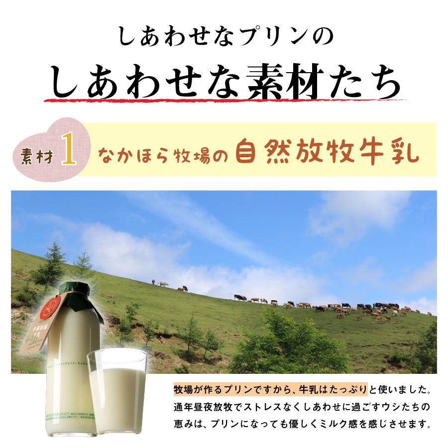 母の日 遅れてごめんね  ギフト プリン なかほら牧場 カスタード 6個入 送料無料 お菓子 スイーツ 高級 瓶 国産 ［冷蔵便］nov｜nakahora-bokujou｜03