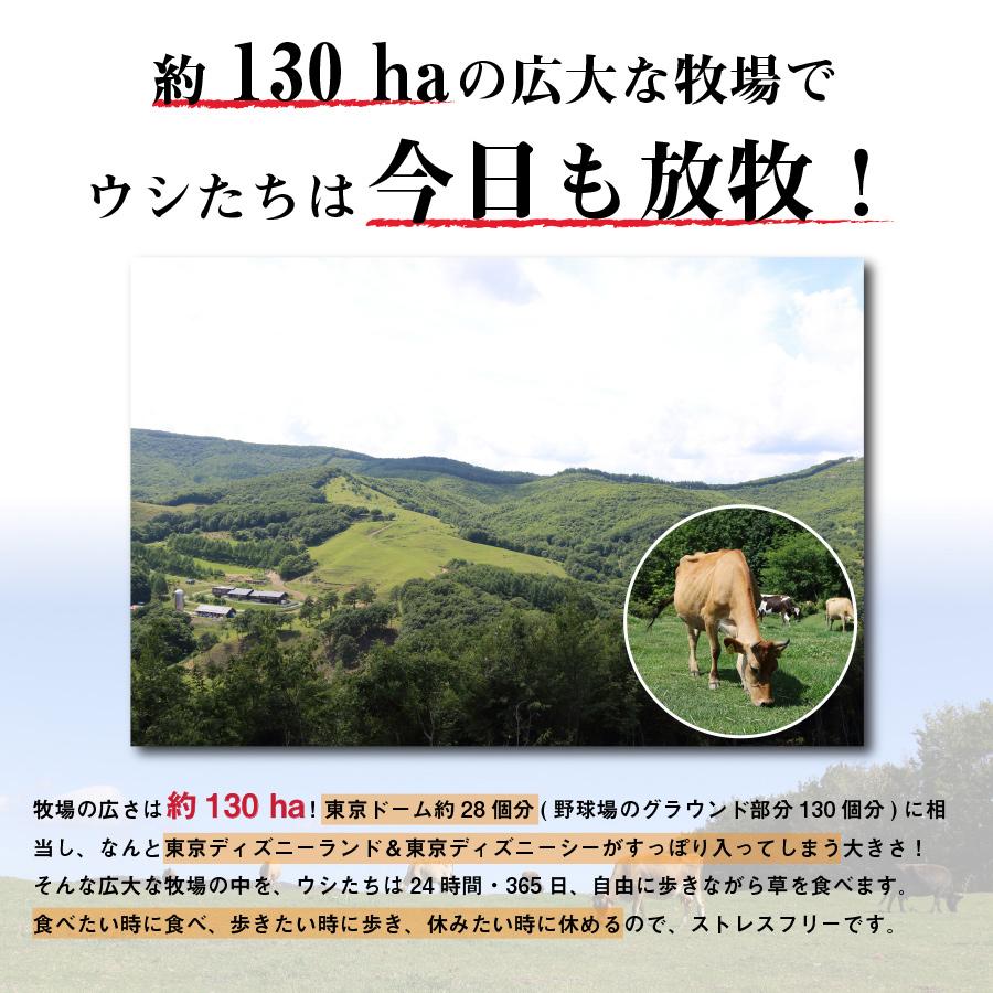 父の日 お中元  ギフト プリン なかほら牧場 チョコレート 6個入 送料無料 お菓子 スイーツ ぷりん 高級 瓶 国産 ［冷蔵便］nov｜nakahora-bokujou｜16