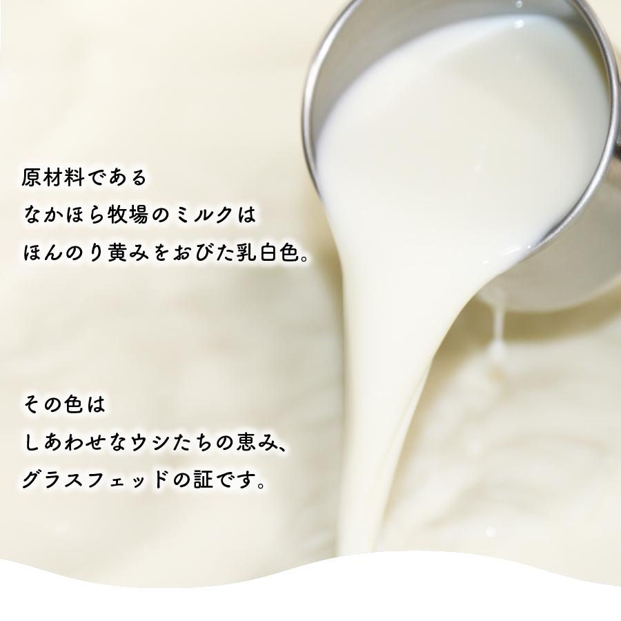 母の日 バター なかほら牧場 100g グラスフェッド 国産 岩手県 食塩不使用 バターコーヒー 自然放牧 無添加 ［冷蔵便/冷凍可］nov｜nakahora-bokujou｜07