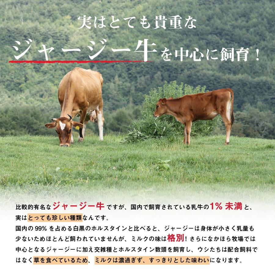 父の日 お中元  ギフト プリン詰合せ 6個入 送料無料 放牧場 スイーツ お菓子 マツコの知らない世界 高級 ［冷蔵便］nov｜nakahora-bokujou｜09