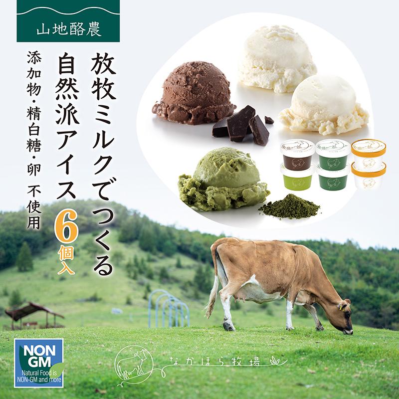 記念日 お中元 夏ギフト 牧場 アイスクリーム 詰め合わせ 6個入 送料無料 全種 お菓子 スイーツ 卵不使用 無添加 冷凍便 nov 記念日 お中元 夏ギフト 牧場 アイスクリーム 詰め合わせ 6個入 送料無料 全種 お菓子 スイーツ 卵不使用 無添加 冷凍便 nov