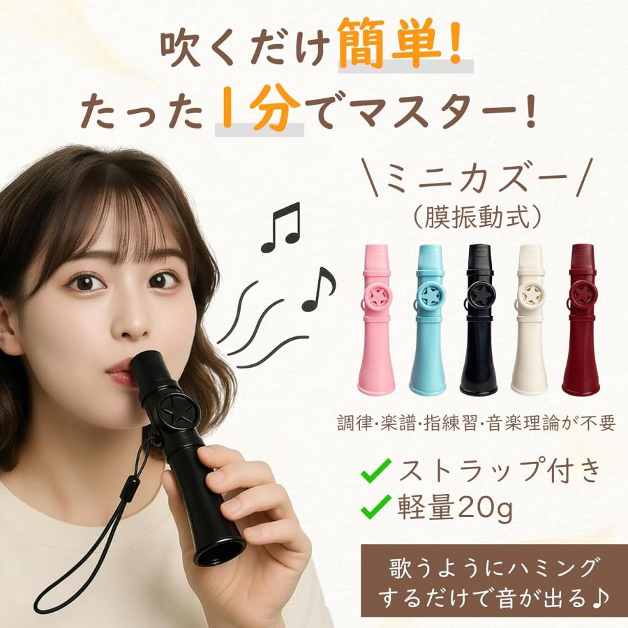 カズー 楽器 膜振動式 吹奏楽器 楽譜不要 すぐ音が出る 初心者向け