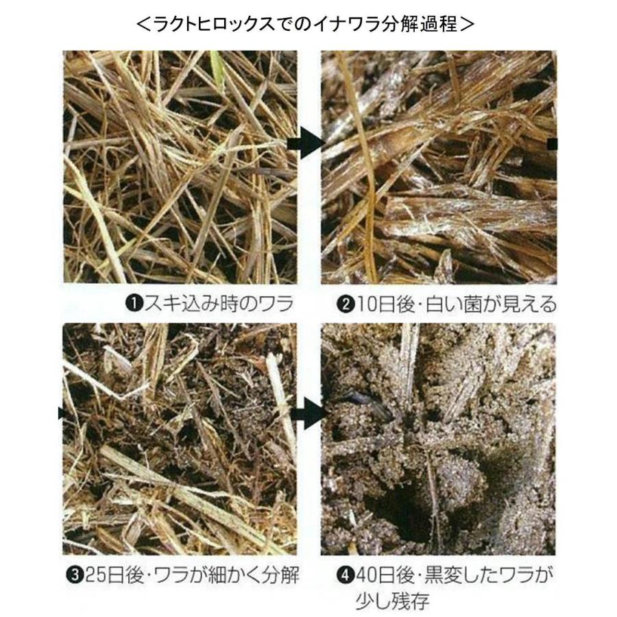 廣商 ラクトヒロックス 水和剤 1.3kg｜微生物土壌改良剤｜乳酸菌等の力で作物残渣等の有機物を発酵分解し良好な作物を育む健全で豊かな土壌をつくる｜nakajima-kikai-shop｜10