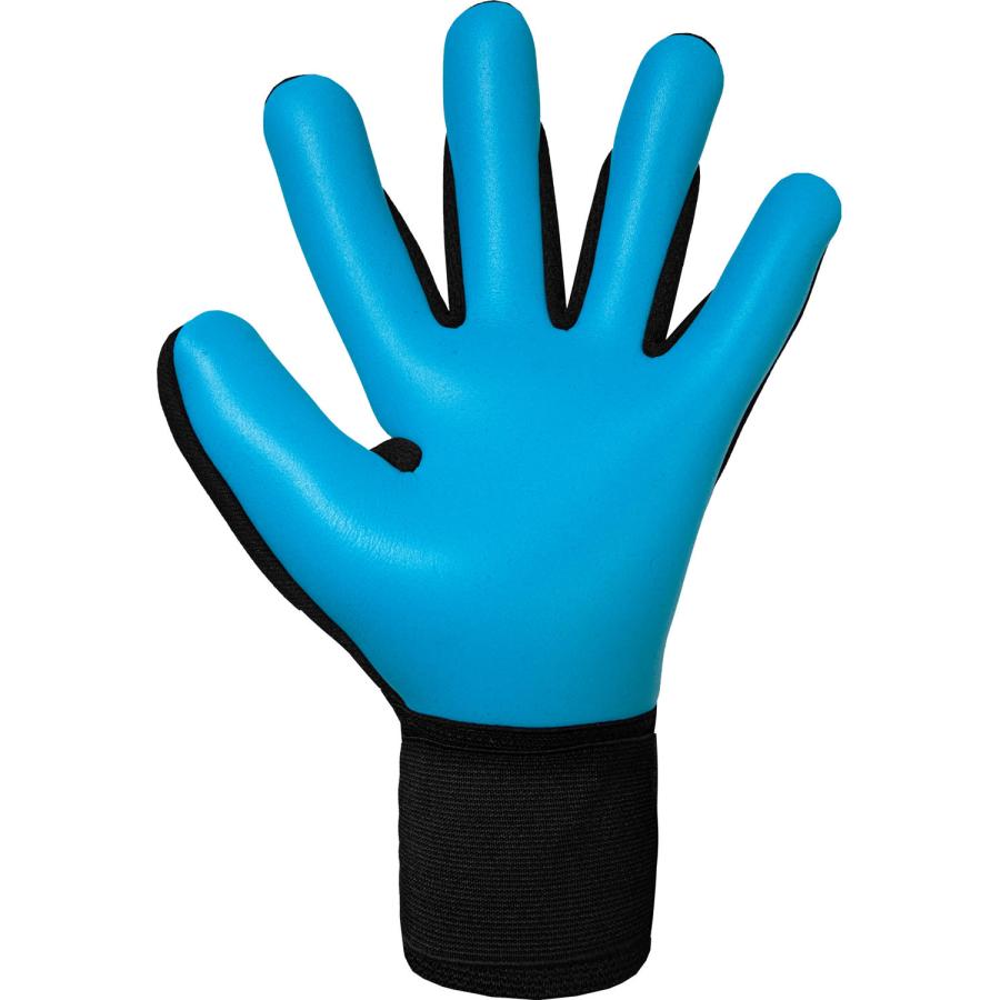 reusch（ロイシュ） キーパーグローブ アトラクト フリーゲル アクア