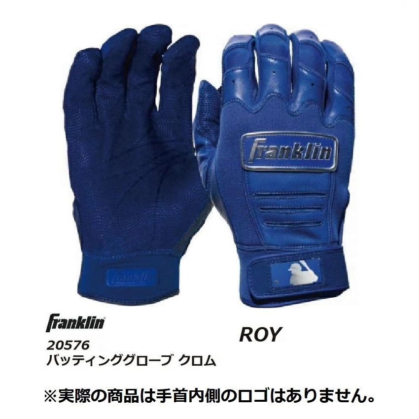 フランクリン 野球：フランクリン CFX プロ クロム バッティング