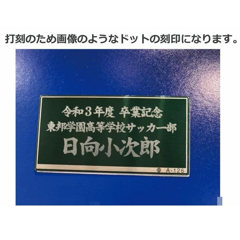 寄せ書きボール 記念品用サインボール  ミカサ サッカーマスコットボールALMUNDOモデル (ACMCFT15B) プレート刻印対応 記念日 ギフト お祝い 卒部 卒業  卒団｜nakajimasp｜04