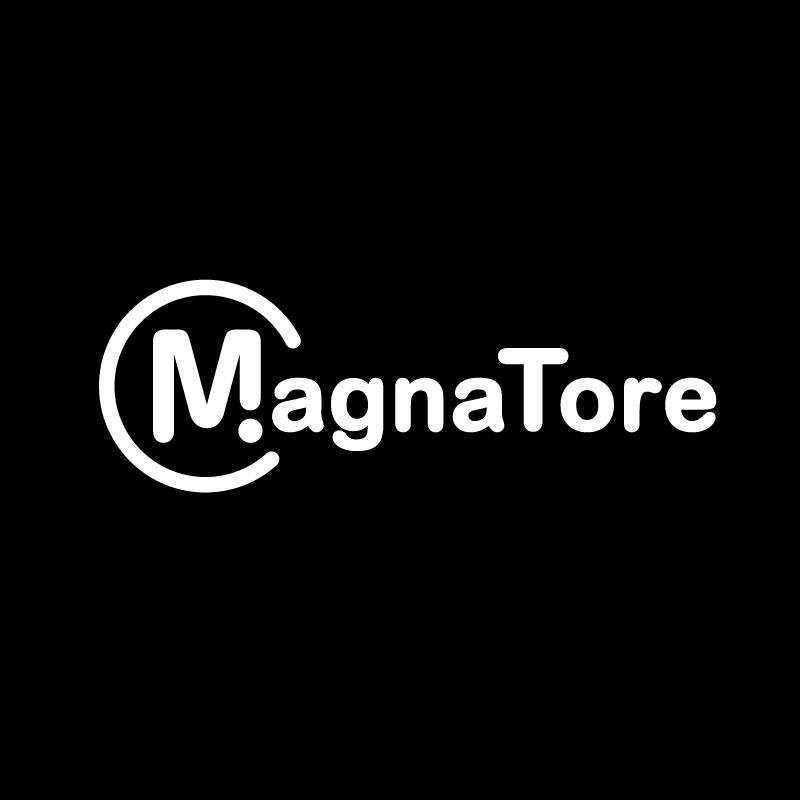 トレーニング 世界初！人型マグネット マグナトーレ・小（MagnaTore