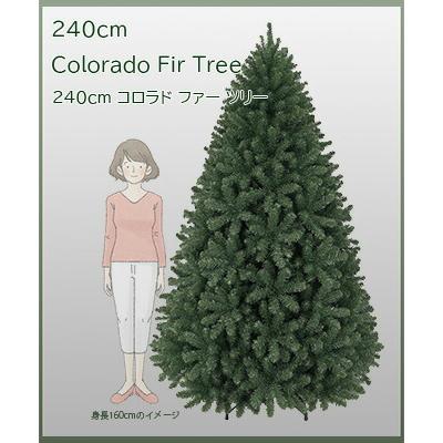 2025年新作ツリー 大きい・美しい・カッコいいツリー コロラドファー