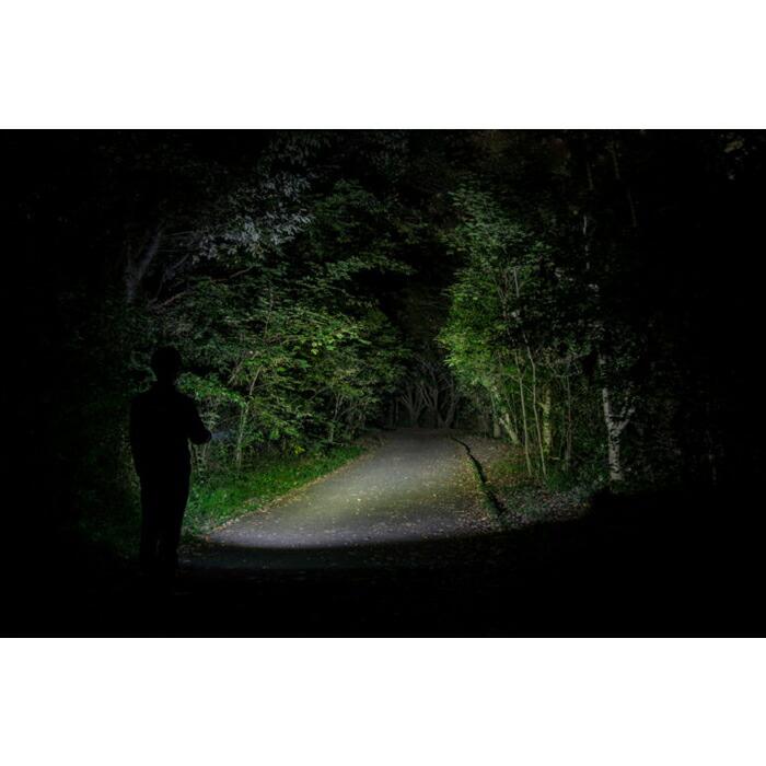 GENTOS（ジェントス） 【ポイント10倍】GENTOS TX-2000R 充電式LED
