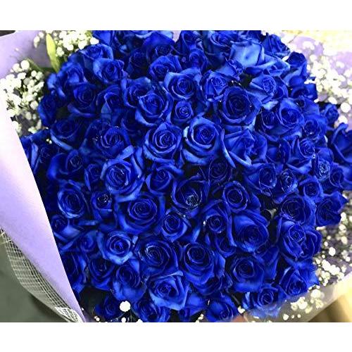 生花花束 青いバラ 以上あります 常に新鮮なお花を提供するため 月 水 金曜日市場から直接仕入れしておりま A B07m7n869v 2227 奇跡 神の祝福 プロポーズ 誕生日 花束 記念日 薔薇 花束 青バラ花束 ベンデラ 薔薇 宅配 A B07m7n869v 2227 中丸ストアヤフー店