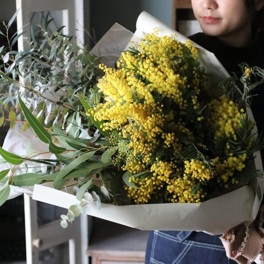 新しいブランド 花束 ミモザ ギフト 花 ノーブランド品 アカシア ｌサイズ ロング ミックス ユーカリ ミモザアカシア 生花 Www Tv36hindustan Com