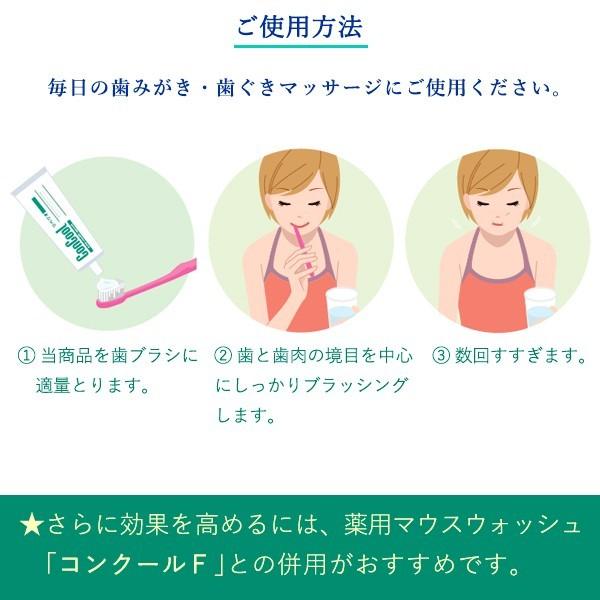 コンクール リペリオ 2個 歯ぐきの腫れ 歯ぐき下がり 歯ぐきトラブル マッサージ剤 口臭防止 送料無料 1061 中村ケア 通販 Yahoo ショッピング