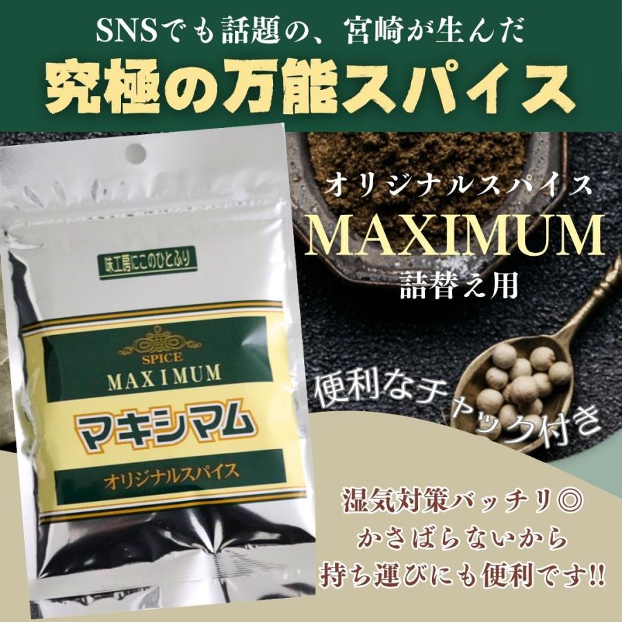 公式販売店】マキシマムオリジナルスパイス詰め替え用 6袋セット(送料