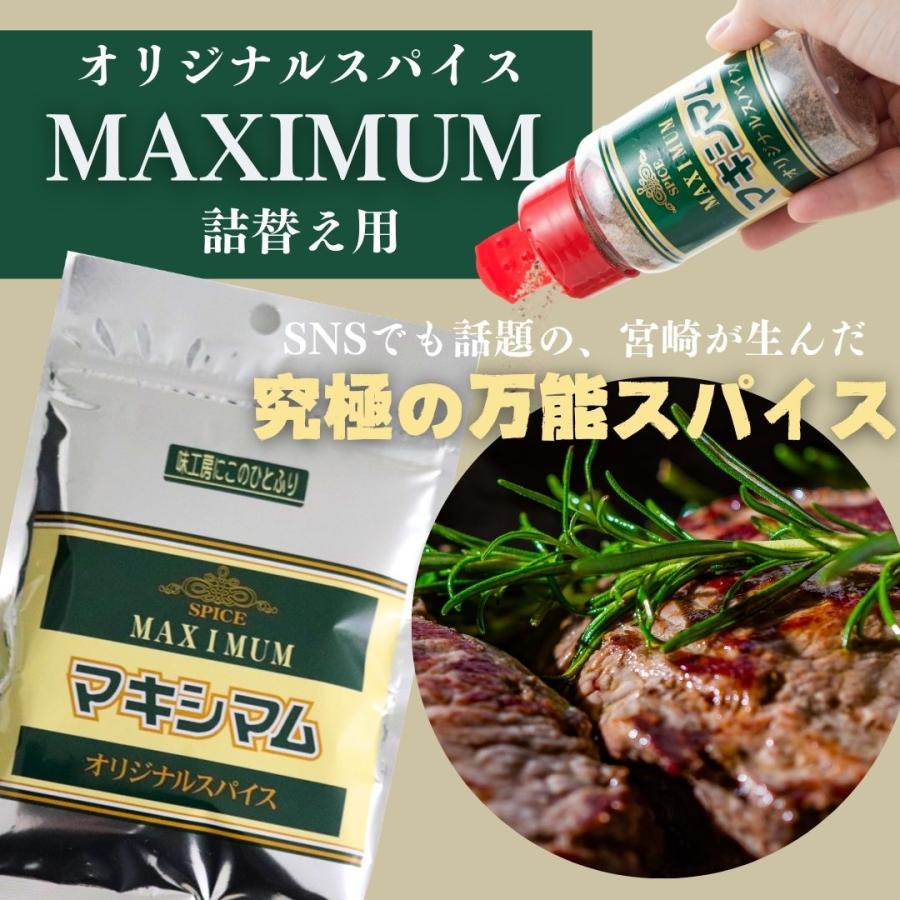 公式販売店】マキシマムオリジナルスパイス詰め替え用 6袋セット(送料