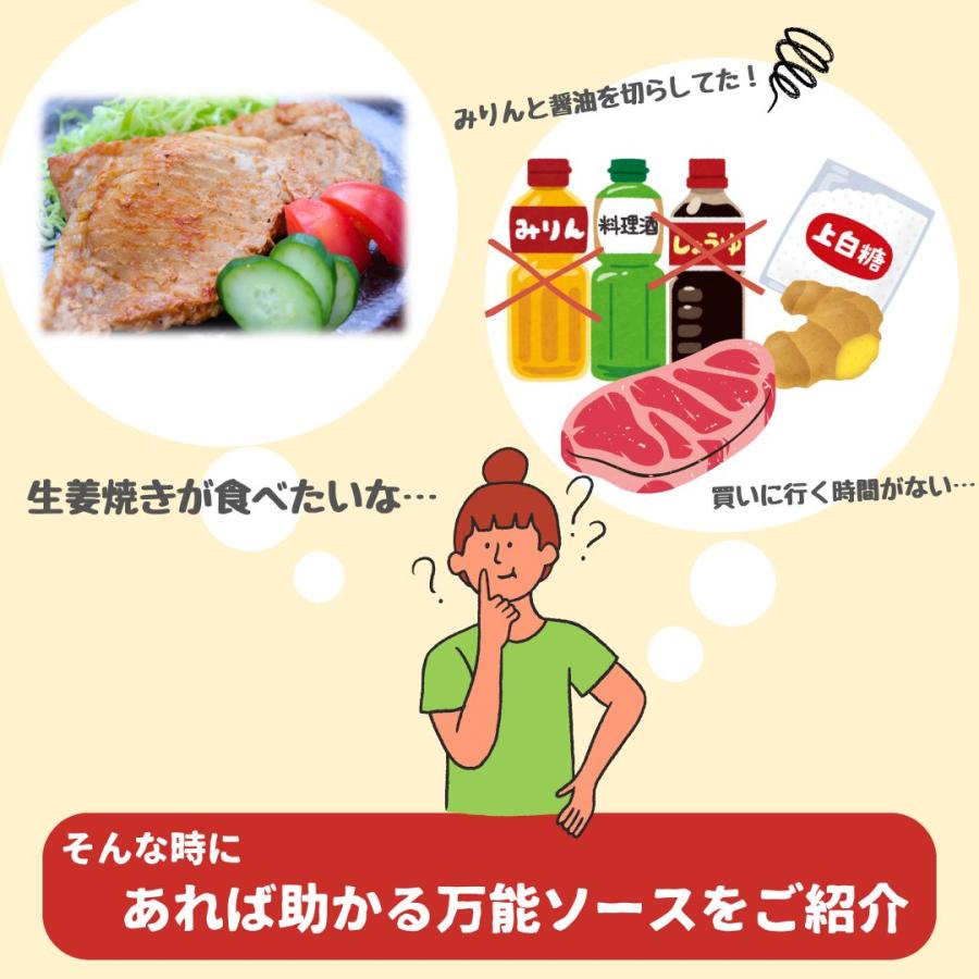 【公式販売店】マキシマムオリジナル万能ソース(送料込み)賞味期限2026.06.17 |  | 01