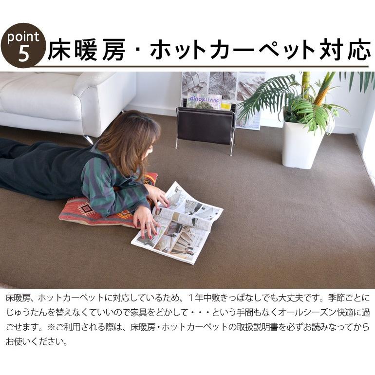 赤ちゃんにも安心！毛が抜けにくいカーペット 江戸間10畳 352×440 防音 防炎 防ダニ 抗菌 ホットカーペットカバー・床暖房対応 フリーカットOK NEWタッチ